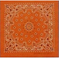 Standard Neon Orange Paisley Bandanna